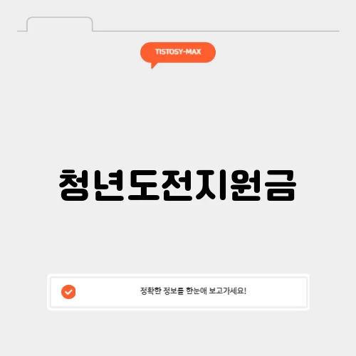 청년도전지원금