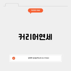 커리어연세