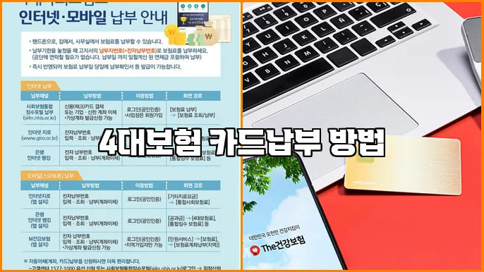 4대보험 카드납부 방법