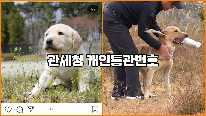 관세청 개인통관번호