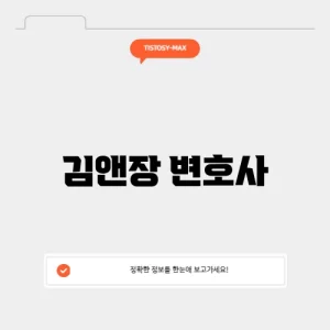 김앤장 변호사