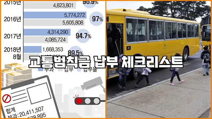 교통범칙금 납부 체크리스트