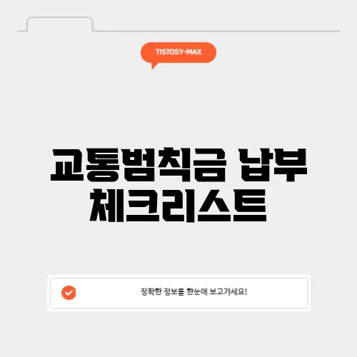 교통범칙금 납부 체크리스트