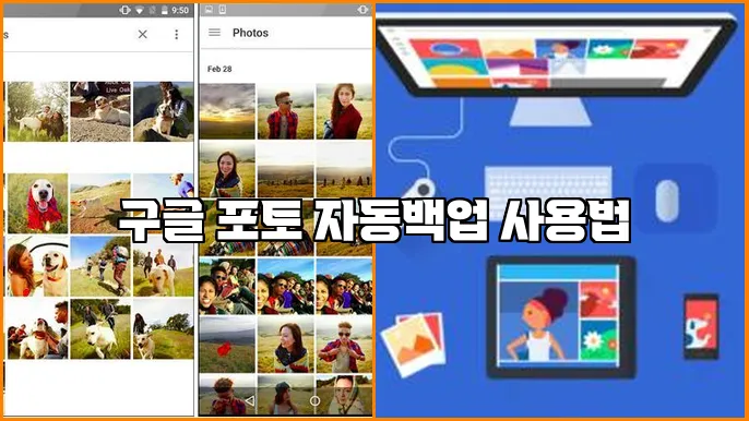 구글 포토 자동백업 사용법