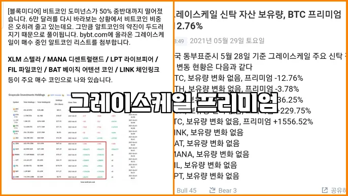 그레이스케일 프리미엄
