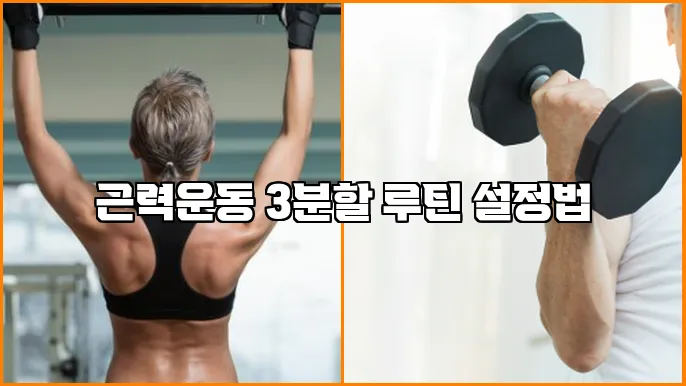 근력운동 3분할 루틴 설정법