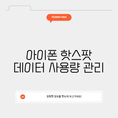 아이폰 핫스팟 데이터 사용량 관리