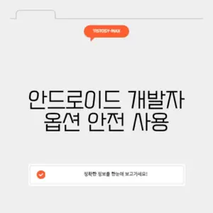 안드로이드 개발자 옵션 안전 사용