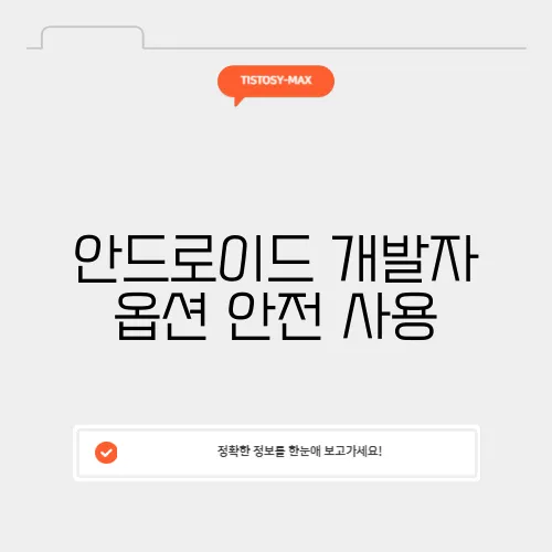 안드로이드 개발자 옵션 안전 사용