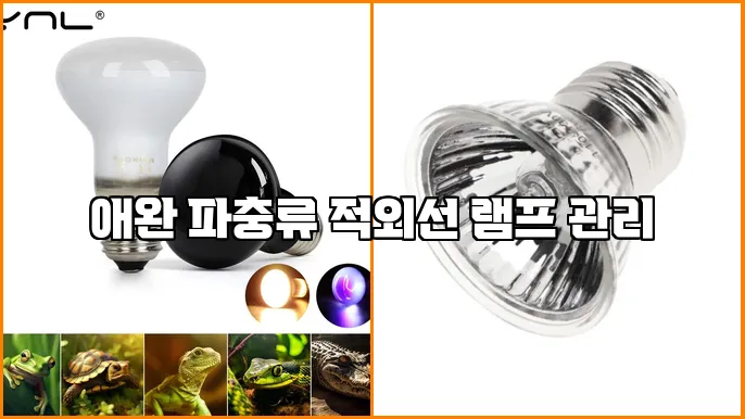 애완 파충류 적외선 램프 관리