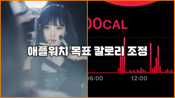 애플워치 목표 칼로리 조정