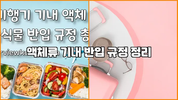 액체류 기내 반입 규정 정리