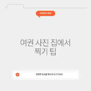 여권 사진 집에서 찍기 팁
