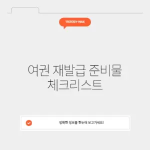 여권 재발급 준비물 체크리스트