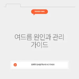여드름 원인과 관리 가이드