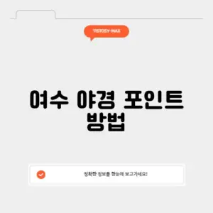 여수 야경 포인트 방법