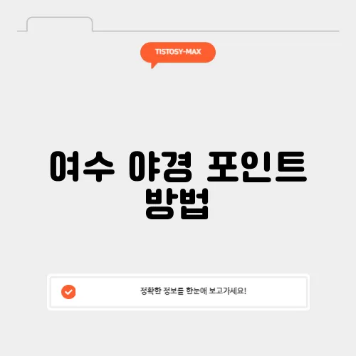 여수 야경 포인트 방법