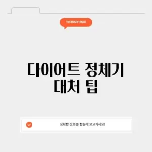 다이어트 정체기 대처 팁