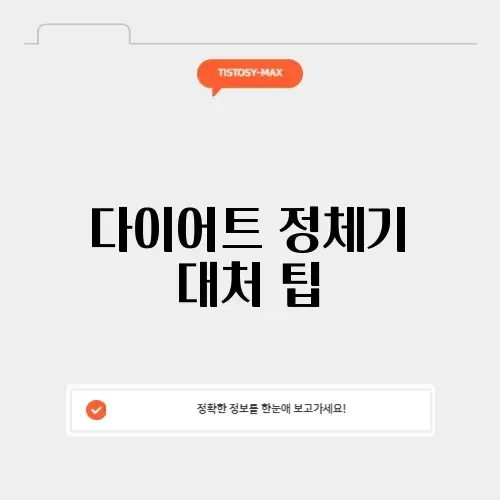 다이어트 정체기 대처 팁