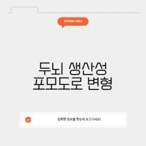두뇌 생산성 포모도로 변형
