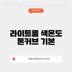라이트룸 색온도 톤커브 기본