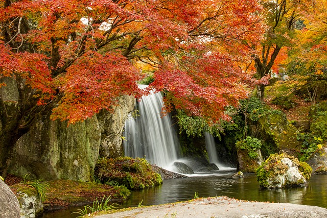 ebs 강의 관련 이미지 1