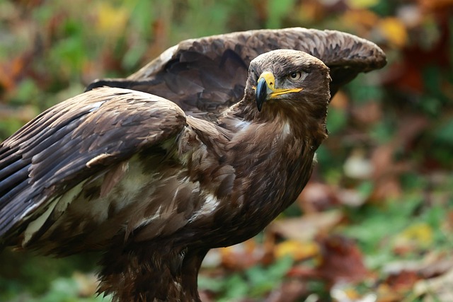 기말고사 기간 관련 이미지 3