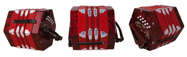 코디세핀 관련 이미지 3