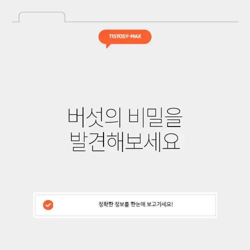 버섯나라 탐험하기: 매력적인 버섯의 세계 알아보기