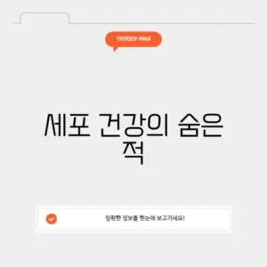 산화 스트레스