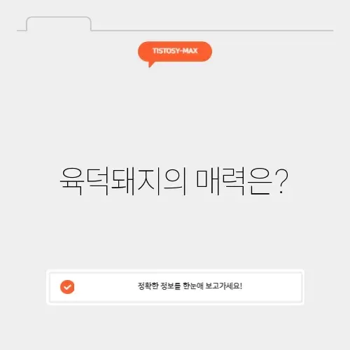 육덕돼지 육덕돼지