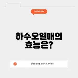 하수오열매