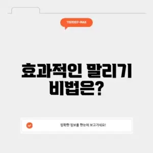 사과대추말리는법