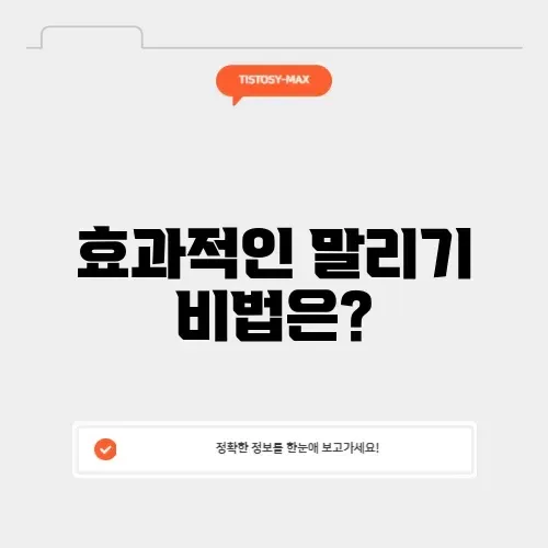 사과대추말리는법