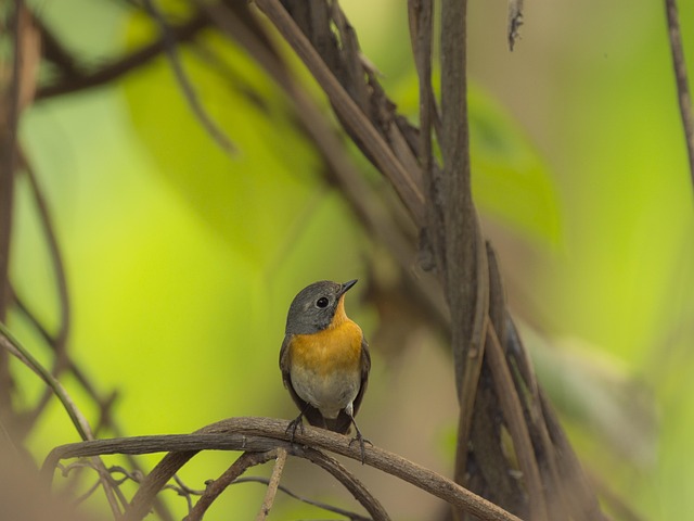공인중개사 인강 완벽 가이드 알아보기 관련 이미지 2
