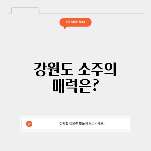 매력적인 강원도 소주, 제대로 알아보기