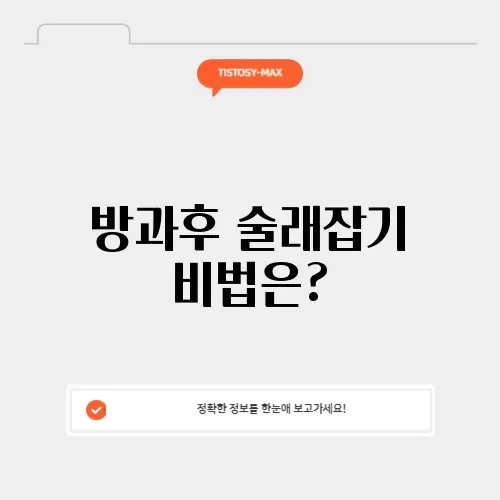 방과후 술래잡기 완벽 가이드: 새로운 재미를 찾아서!