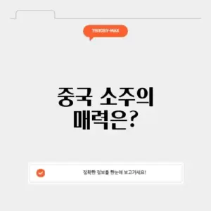중국 소주, 그 매력을 완벽 정리해보자!