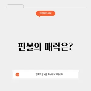 핀볼게임 사이트의 매력 완벽 정리