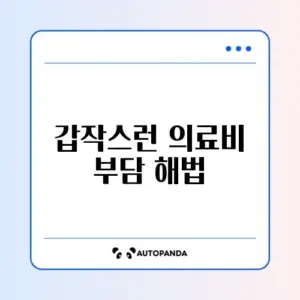 재난적 의료비 지원