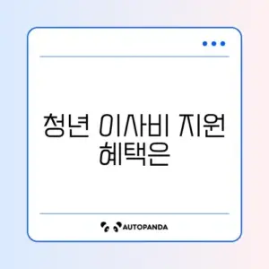 청년 이사비 지원