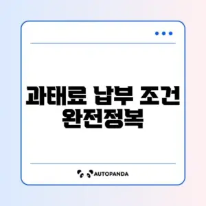 과태료 조회 납부 자격 완벽 체크리스트 가이드 알아보기