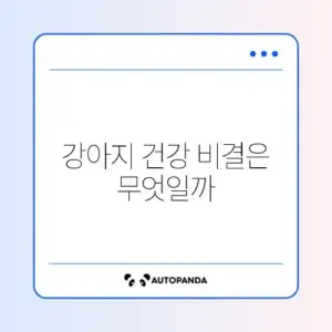 강아지 사료 추천, 어디서 구입할지 완벽 정리 알아보기