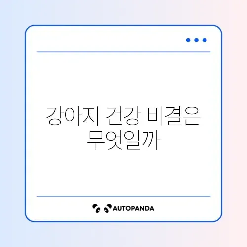 강아지 사료 추천, 어디서 구입할지 완벽 정리 알아보기 썸네일