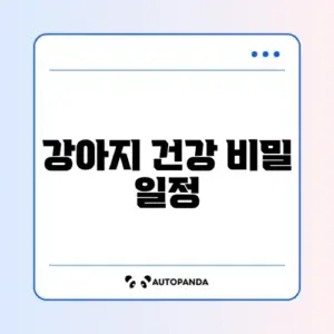 강아지 예방접종 일정 단계별 완벽 가이드 알아보기