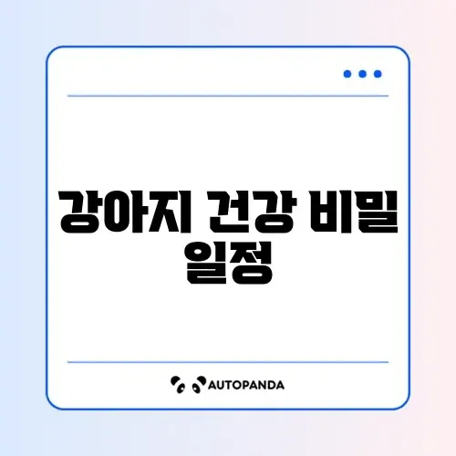 강아지 예방접종 일정 단계별 완벽 가이드 알아보기 썸네일