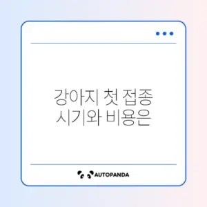강아지 예방접종 일정과 가격, 단계별 완벽 가이드 알아보기