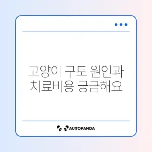 고양이 구토 원인과 비용, 단계별 관리 가이드 알아보기