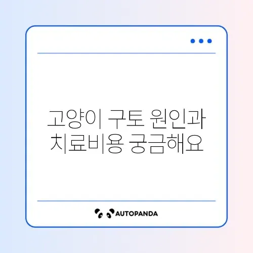 고양이 구토 원인과 비용, 단계별 관리 가이드 알아보기 썸네일