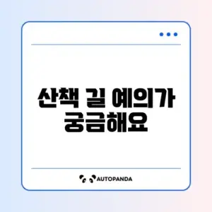 반려견 산책 매너, 단계별 완벽 가이드 알아보기